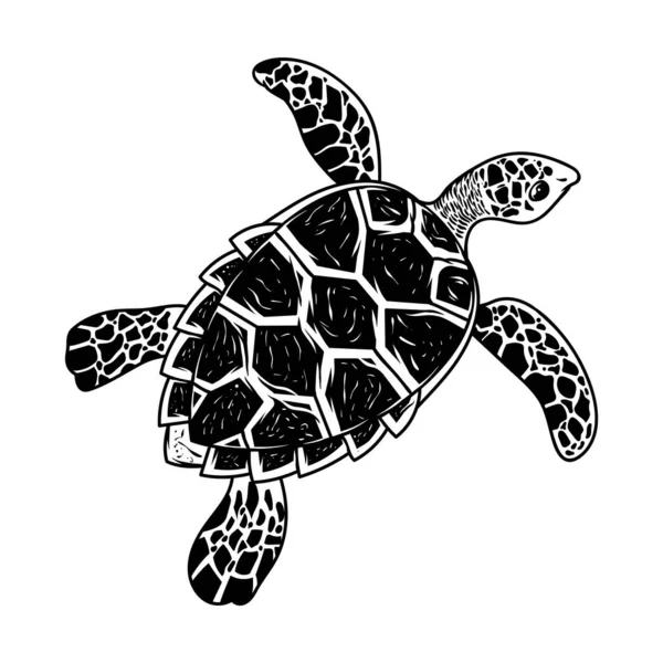 Gran mar océano tortuga animal salvaje — Archivo Imágenes Vectoriales