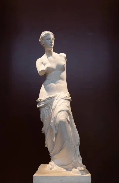 Statue Venus Milovskaja Ved Stockholms Nasjonalmuseum Stockholm Sverige 2019 – stockfoto