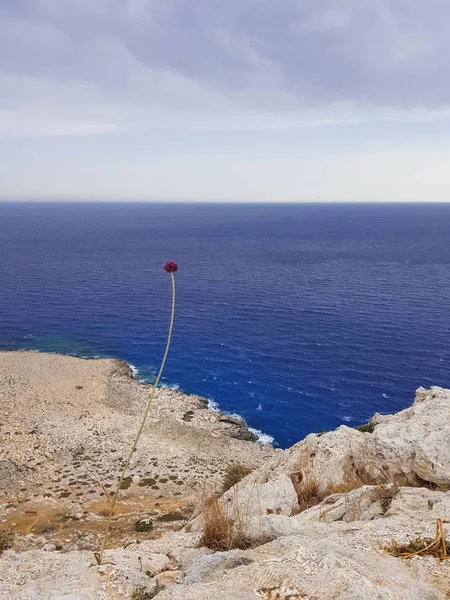 Blick Auf Das Meer Zypern Protaras Mai 2018 Schöne Blaue — Stockfoto