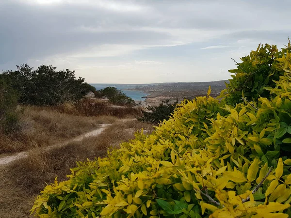 Vista Mar Chipre Protaras Mayo 2018 Hermoso Mar Azul Rocas Fotos De Stock Sin Royalties Gratis