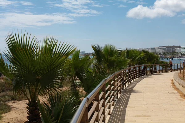 Palmen Meeresufer Und Eine Eiserne Brücke — Stockfoto