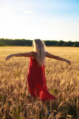 gün batımında buğday alanında sarışın kız