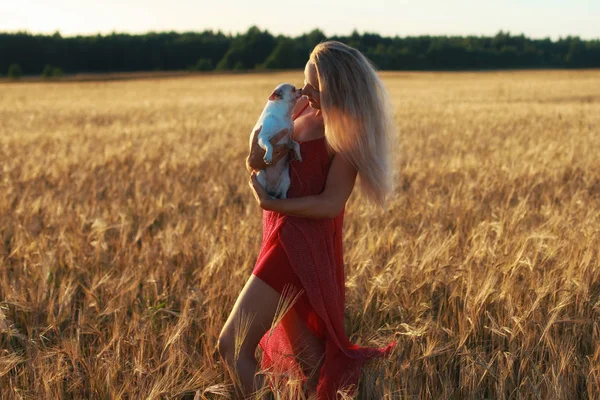 Chica Rubia Campo Trigo Atardecer Sosteniendo Perro Sus Brazos — Foto de Stock