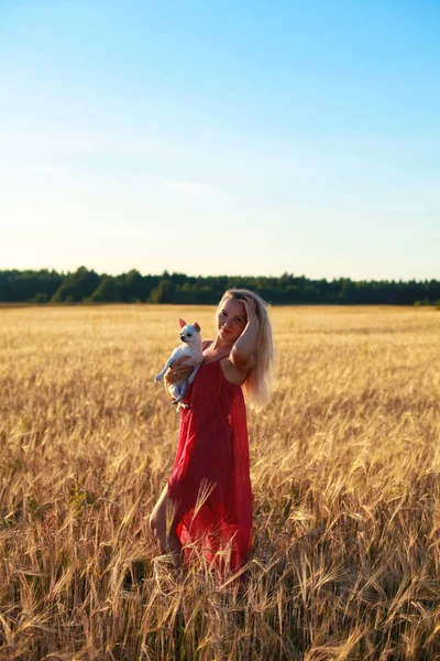 Blonde Girl Wheat Field Sunset Holding Dog Her Arms — Stock Photo, Image