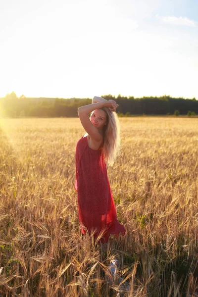 Blond Flicka Veteåker Solnedgången — Stockfoto