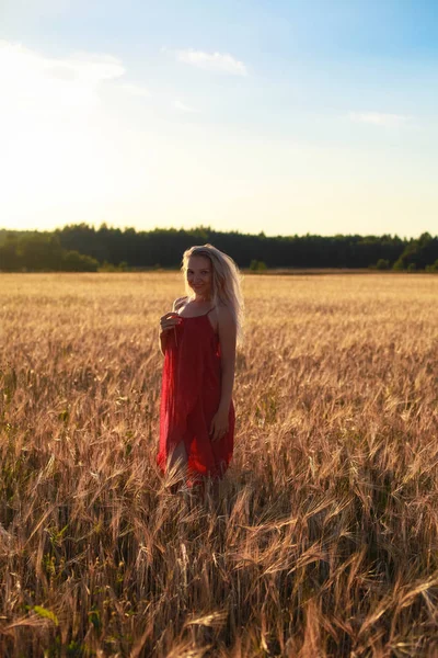 Blond Flicka Veteåker Solnedgången — Stockfoto