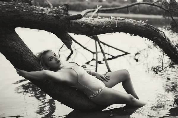 女孩正在用一棵倒下的树在泳装中摆姿势 树枝在水里 — 图库照片