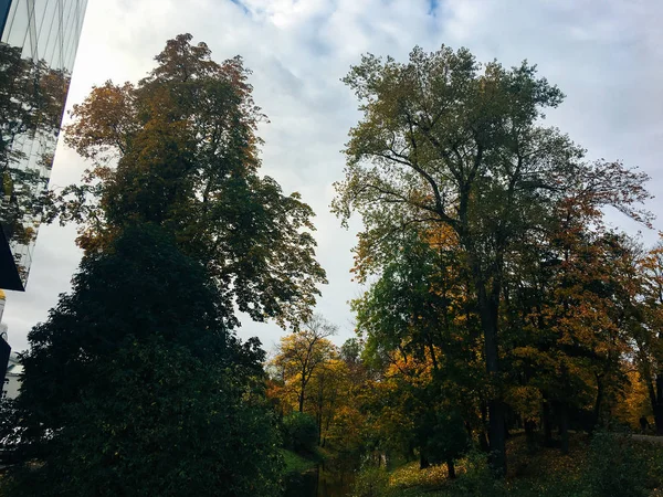 Δέντρα Και Μια Λιμνούλα Φθινοπωρινά Χρώματα — Φωτογραφία Αρχείου