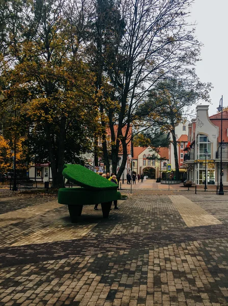 Ottobre 2017 Svetlogorsk Regione Kaliningrad Pianoforte Piante Sulla Strada — Foto Stock