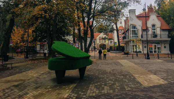 Octobre 2017 Svetlogorsk Région Kaliningrad Piano Plantes Dans Rue — Photo