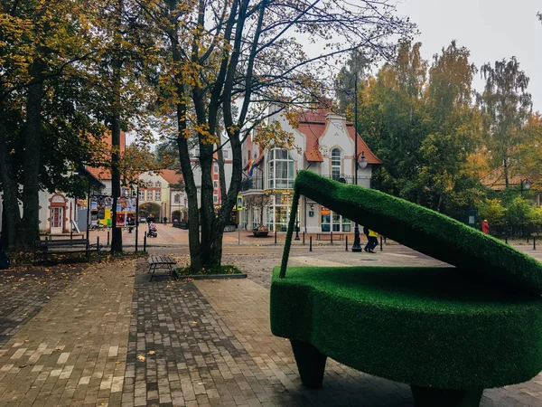 Října 2017 Svetlogorsk Kaliningradská Oblast Klavír Rostlin Ulici — Stock fotografie