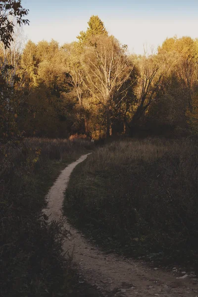 Jesień Mieście Zdjęcie Przedstawia Parku Drogi — Zdjęcie stockowe