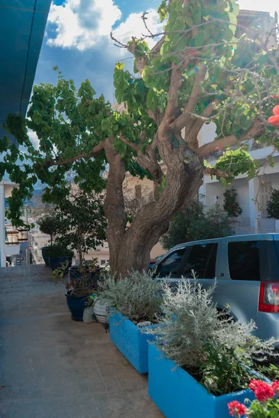 Girit Manzaralı Caddeleri Antik Binaları Yapıları Modern Teknolojisiyle — Stok fotoğraf