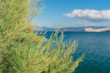 Yunanistan'ın Girit adası deniz yıkama