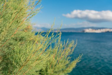Yunanistan'ın Girit adası deniz yıkama