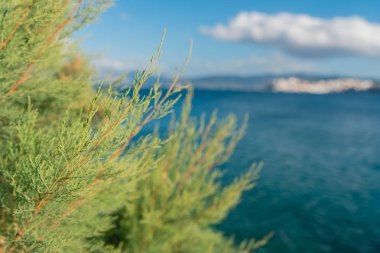 Yunanistan'ın Girit adası deniz yıkama