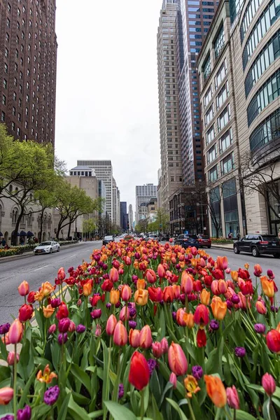 Mayıs 2019. Amerika. Kuzey Amerika. Chicago, ABD. Bina, gökdelen, mimari.
