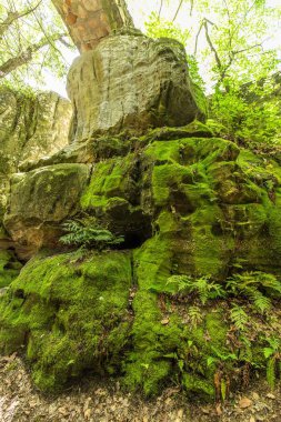 ABD, Mayıs 2019, Rock City Gardens 'a bakın.