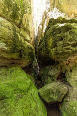 ABD, Mayıs 2019, Rock City Gardens 'a bakın.