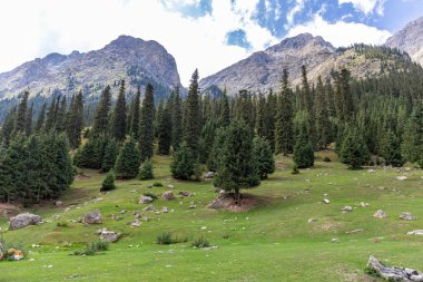 Kırgızistan Boğazı. Mavi. Dağ vadisi. Panoramik manzara. Park, açık hava..