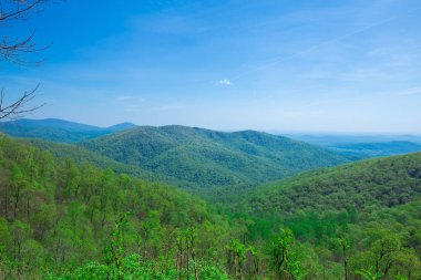 Sonsuz dağ manzarası. Tennesse 'nin güzel doğası. Usa.