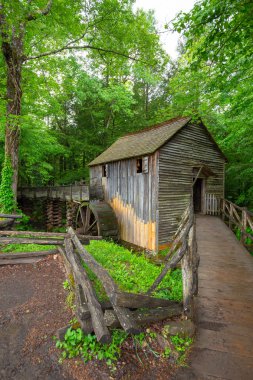 Usa 'nın doğusunda vahşi bir orman. Tennessee 'deki eski bir köy. Orman perisi geçmişi.