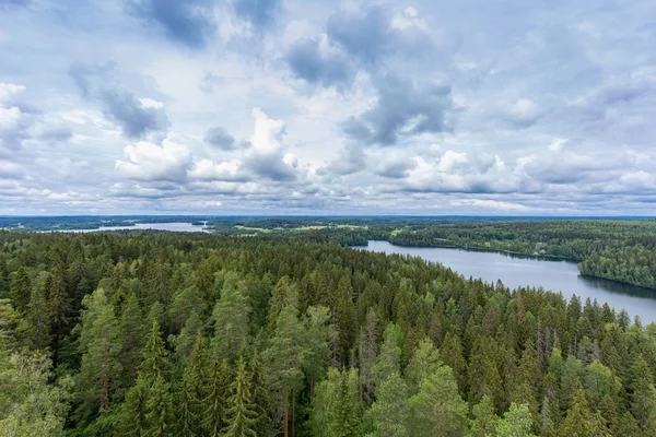 Doğa geçmişi. Finlandiya. Aulanko. Güzel sonbahar manzarası. Sonbahar ormanı. Hava görünümü.