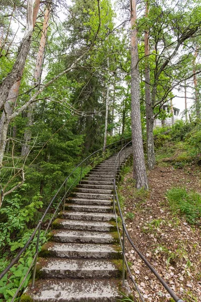 Přírodní Pozadí Finsko Aulanko Krásná Podzimní Krajina Podzimní Les Letecký — Stock fotografie