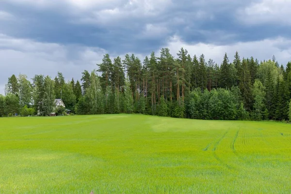 Pole Jezera Finska Panoramatická Krajina Krásné Přírodní Pozadí — Stock fotografie