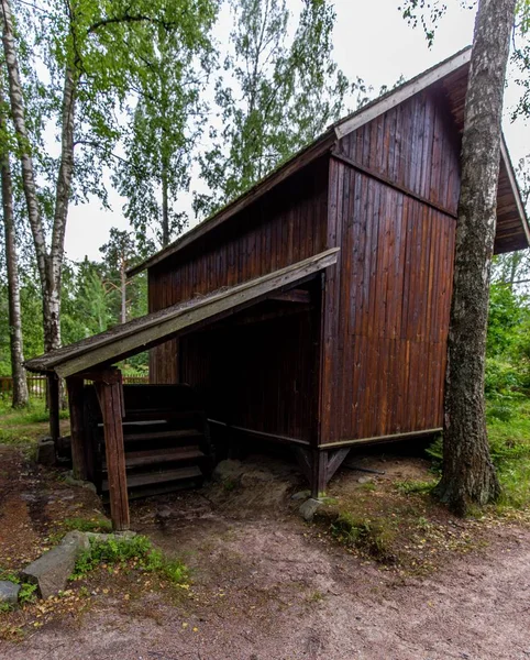 フィンランドのヘルシンキ 自然を背景に風景の背景 国立公園屋外風景 — ストック写真