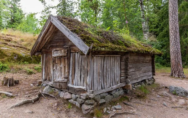 Helsinky Finsko Přírodní Pozadí Pozadí Krajiny Krajina Národního Parku — Stock fotografie