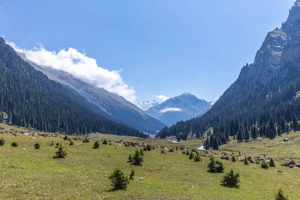 Kırgızistan Boğazı. Mavi. Dağ vadisi. Panoramik manzara. Park, açık hava..