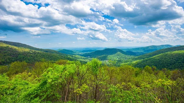 Sonsuz dağ manzarası. Tennesse 'nin güzel doğası. Usa.