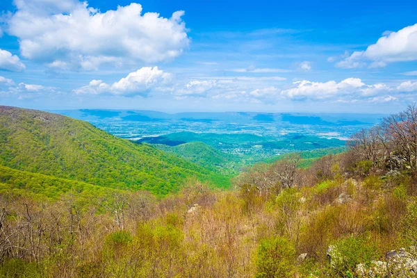 Sonsuz dağ manzarası. Tennesse 'nin güzel doğası. Usa.