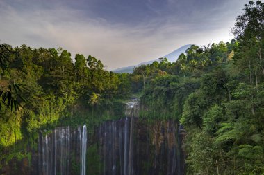 Görkemli Tumpak Sewu şelale ya da diğer adıyla Coban Sewu, görünümüdür bir şelale ile 120 metre yüksekliğinde, bulunan Sidomulyo Köyü, Pronojiwo District, Lumajang Regency, Doğu Java, Endonezya.