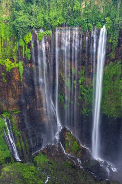 Görkemli Tumpak Sewu şelale ya da diğer adıyla Coban Sewu, görünümüdür bir şelale ile 120 metre yüksekliğinde, bulunan Sidomulyo Köyü, Pronojiwo District, Lumajang Regency, Doğu Java, Endonezya.