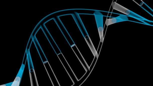 の幾何学的な Dna Dna コード黒背景 デオキシリボ核酸 線効果 遺伝学 バイオ テクノロジー等のようなトピックのために大きい — ストック動画