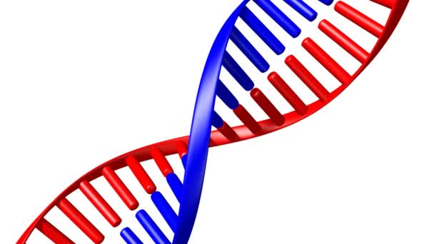 Red Blue Dna Chain Dna Code White Background Ideal Para — Vídeo de stock