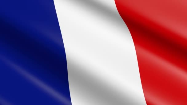 Bandera Material Tejido Francia Animación — Vídeo de stock