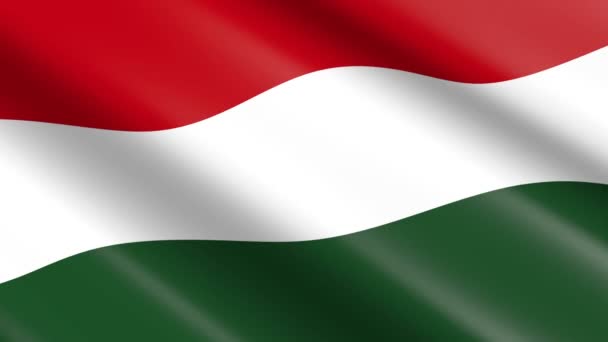 Drapeau matériel de tissage 3D de Hongrie - animation .