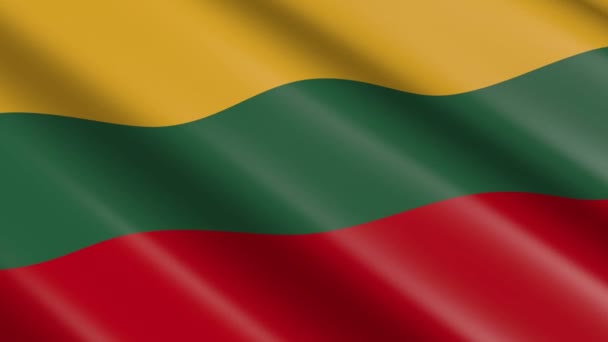 Drapeau matériel de tissage 3D de Lituanie - animation .