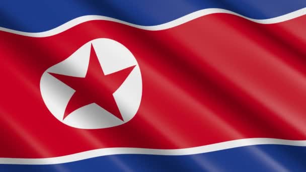 Drapeau Matériel Tissage Corée Nord Animation — Video