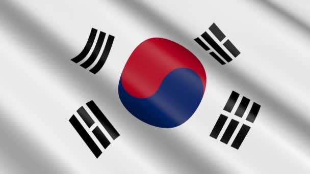 Bandera Material Tejido Corea Del Sur Animación — Vídeos de Stock