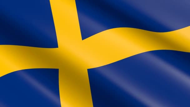 Weaving Material Flag Sweden Animation — Stockvideo