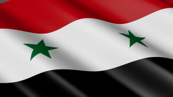 Ткацький Прапором Матеріал Сирії Анімація — стокове відео