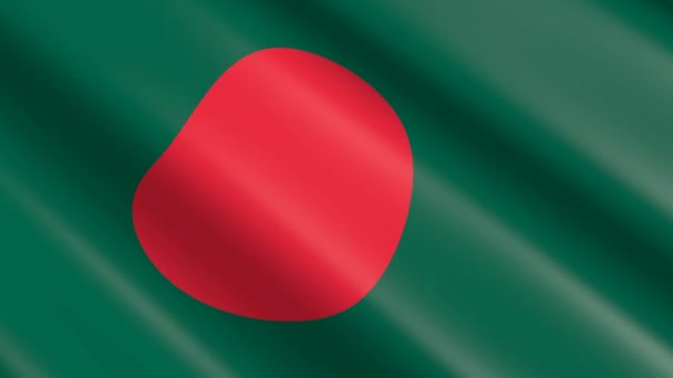 Ύφανση Υλικών Σημαία Του Μπανγκλαντές Κινούμενα Σχέδια — Αρχείο Βίντεο
