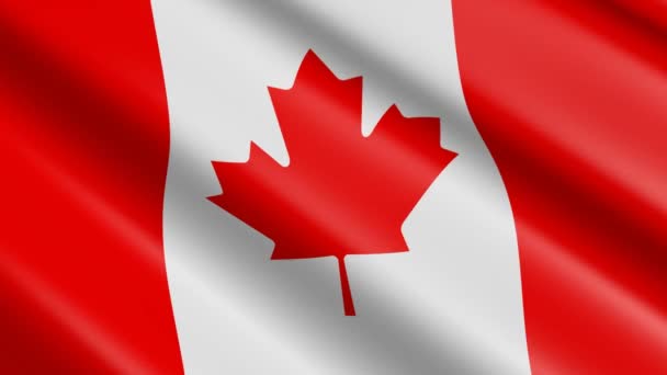 Weven Materiële Vlag Van Canada Animatie — Stockvideo