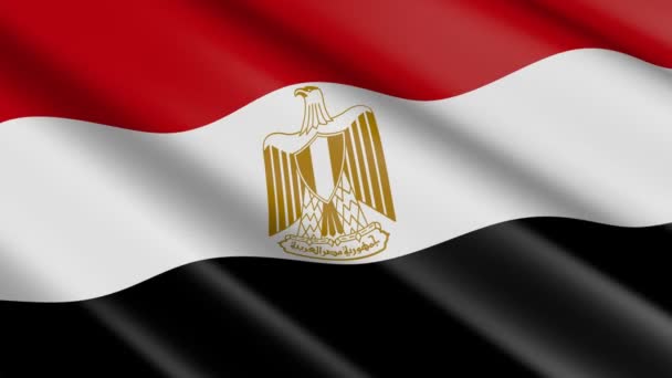 Weven Materiële Vlag Van Egypte Animatie — Stockvideo