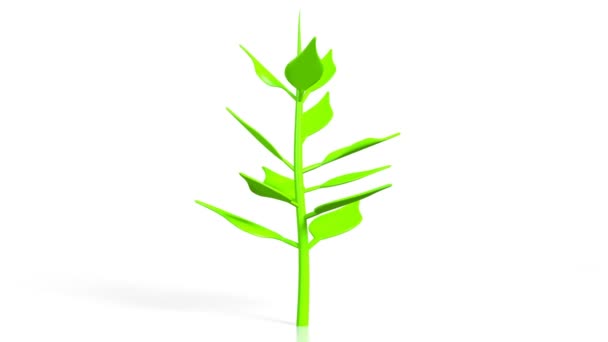 Pflanzen Ideal Für Themen Wie Bäume Natur Usw — Stockvideo