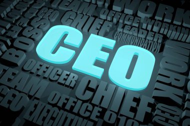 CEO - Yönetim Kurulu Başkanı kavramı